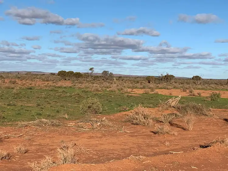 Seventh view of Homely rural property listing, Address available on request