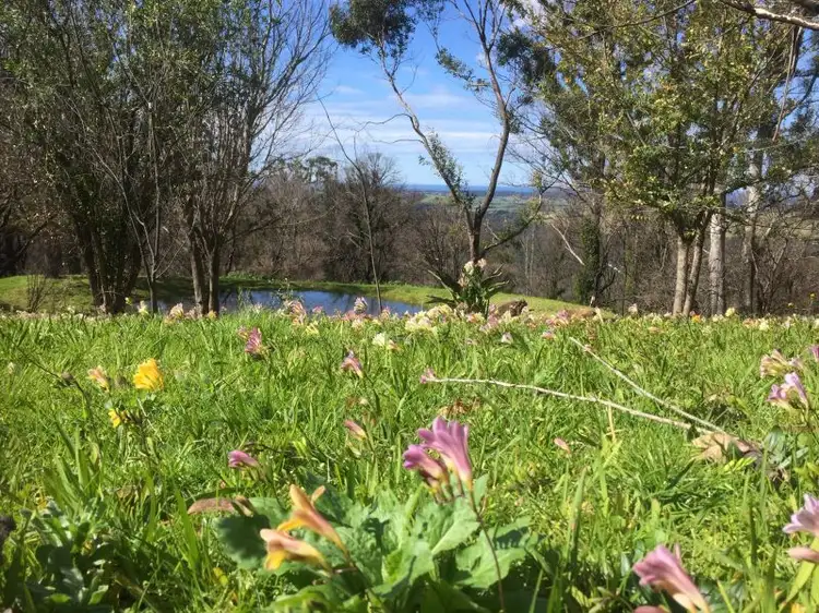 563 Little Forest Road