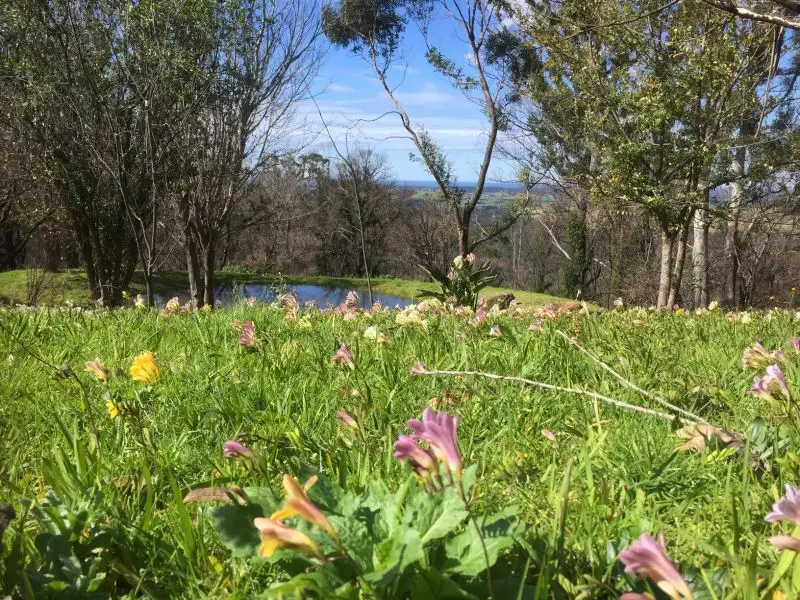 Main view of Homely house listing, 563 Little Forest Road, Little Forest NSW 2538
