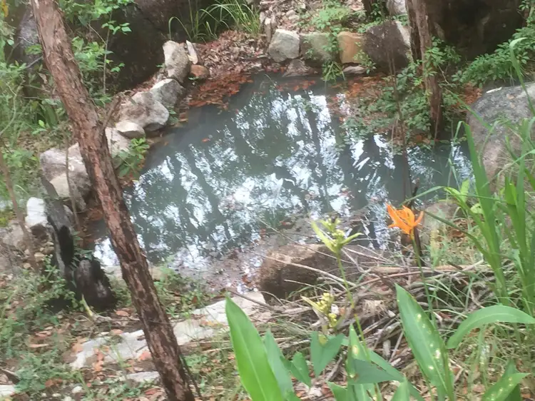 Fourth view of Homely land listing, Lot 75PT Pine Creek Yarrabah Road, East Trinity QLD 4871