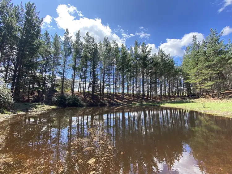635 The Lookdown Road, Bungonia NSW 2580