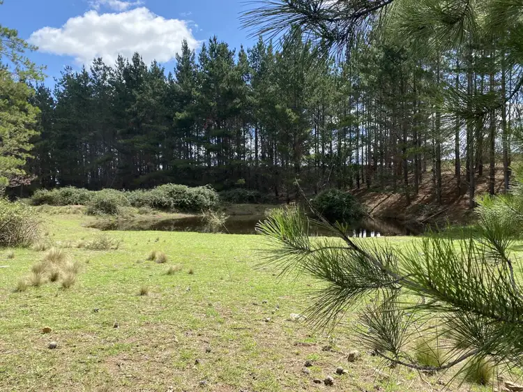 Second view of Homely rural property listing, 635 The Lookdown Road, Bungonia NSW 2580