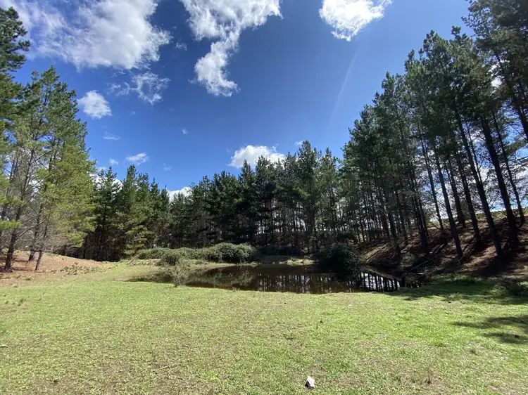 Fourth view of Homely rural property listing, 635 The Lookdown Road, Bungonia NSW 2580