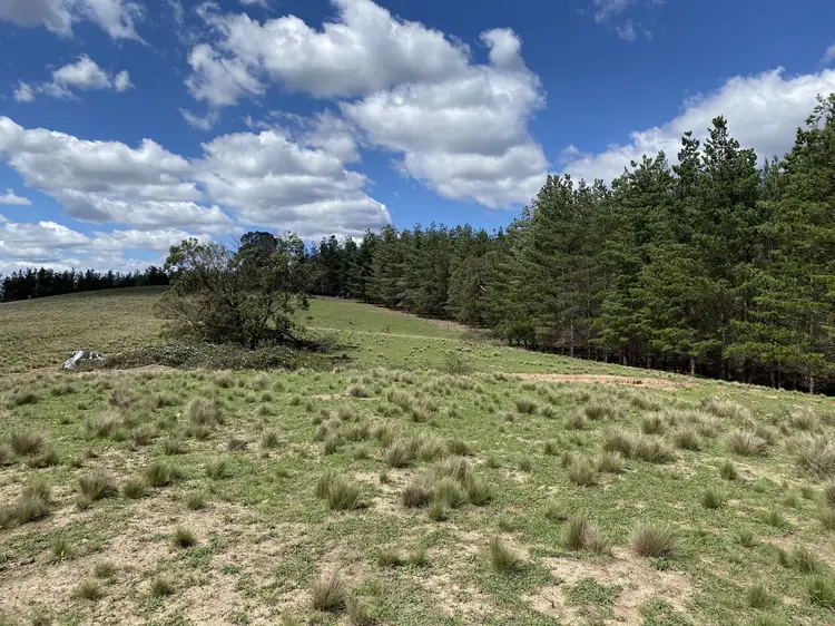 Sixth view of Homely rural property listing, 635 The Lookdown Road, Bungonia NSW 2580