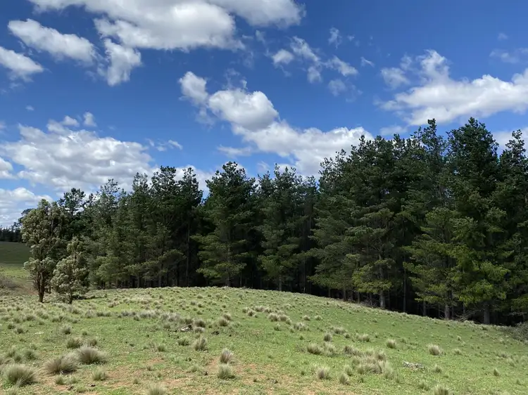 Seventh view of Homely rural property listing, 635 The Lookdown Road, Bungonia NSW 2580