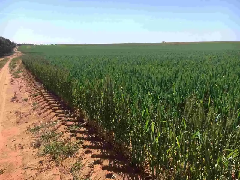 Main view of Homely rural property listing, Lot 50A Morrison Road, Linga VIC 3509