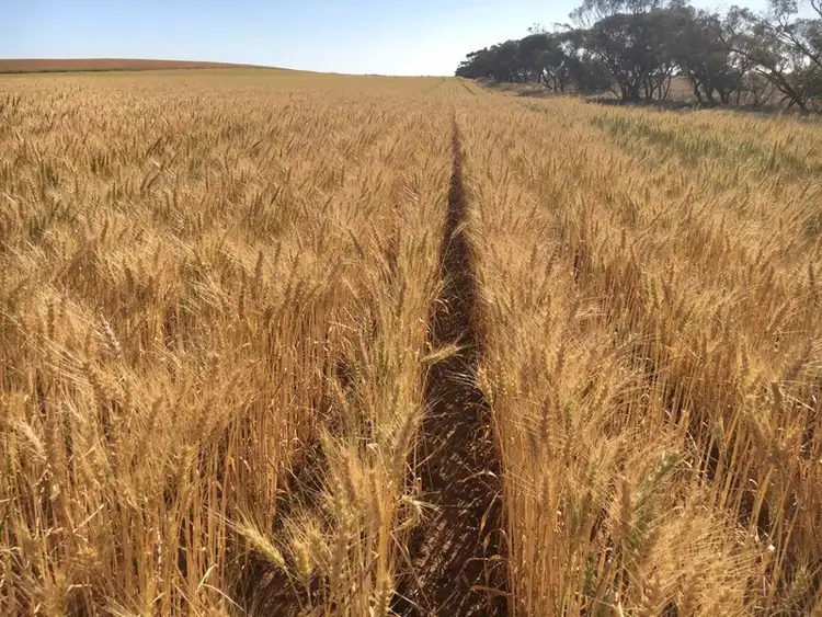 Fourth view of Homely rural property listing, Lot 50A Morrison Road, Linga VIC 3509