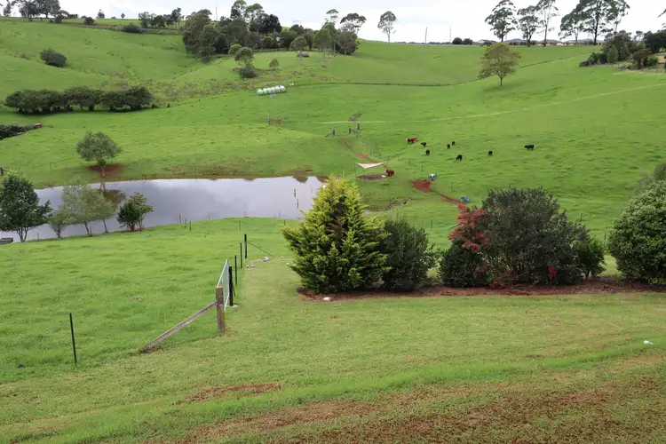 Third view of Homely house listing, 24 Kurrajong Street, Dorrigo NSW 2453