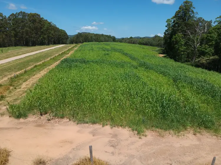 lot 1 Tinana Road, Goomboorian QLD 4570