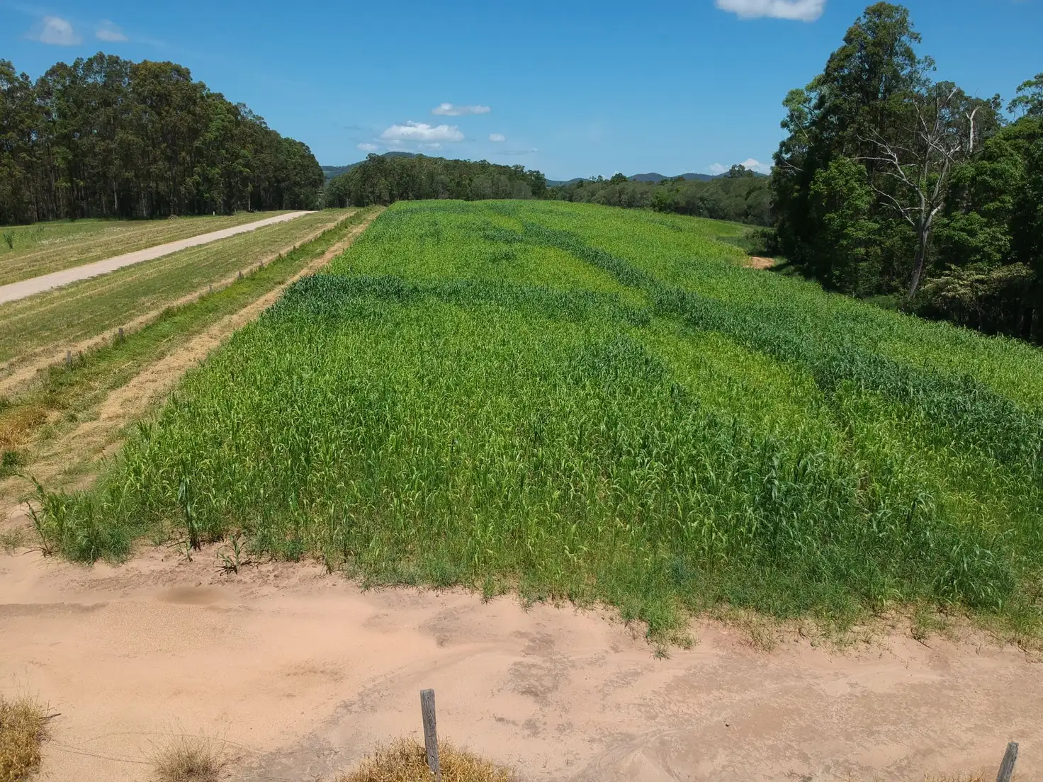 Main view of Homely land listing, lot 1 Tinana Road, Goomboorian QLD 4570