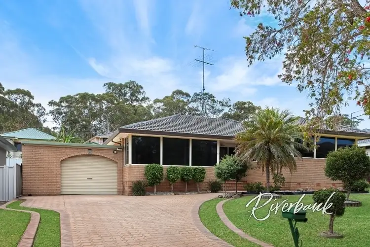61 Hibiscus St, Greystanes NSW 2145