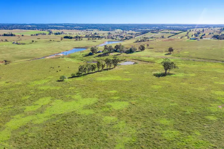 Sixth view of Homely house listing, 125 Montpelier Drive, The Oaks NSW 2570
