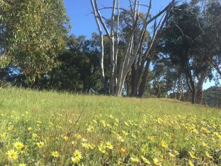 114 Morley Road, Lower Chittering WA 6084