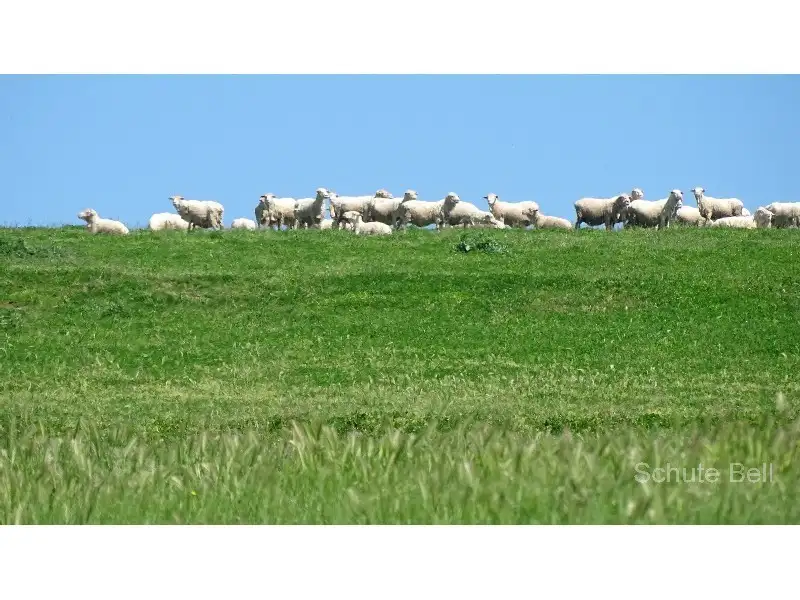 Main view of Homely rural property listing, . Mildura, Bathurst NSW 2795