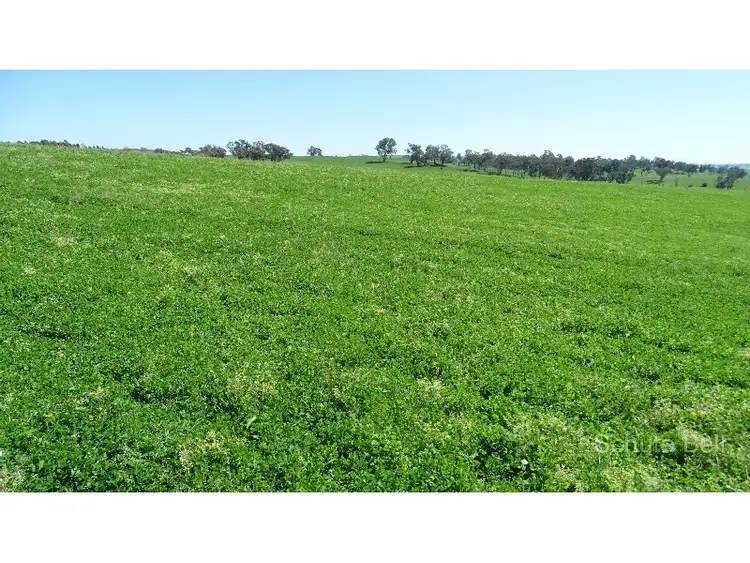 Second view of Homely rural property listing, . Mildura, Bathurst NSW 2795