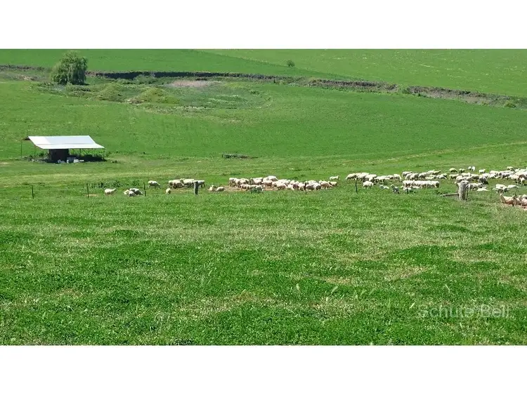 Third view of Homely rural property listing, . Mildura, Bathurst NSW 2795