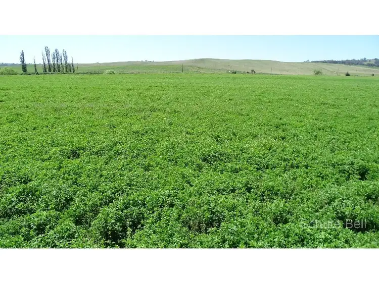 Fourth view of Homely rural property listing, . Mildura, Bathurst NSW 2795