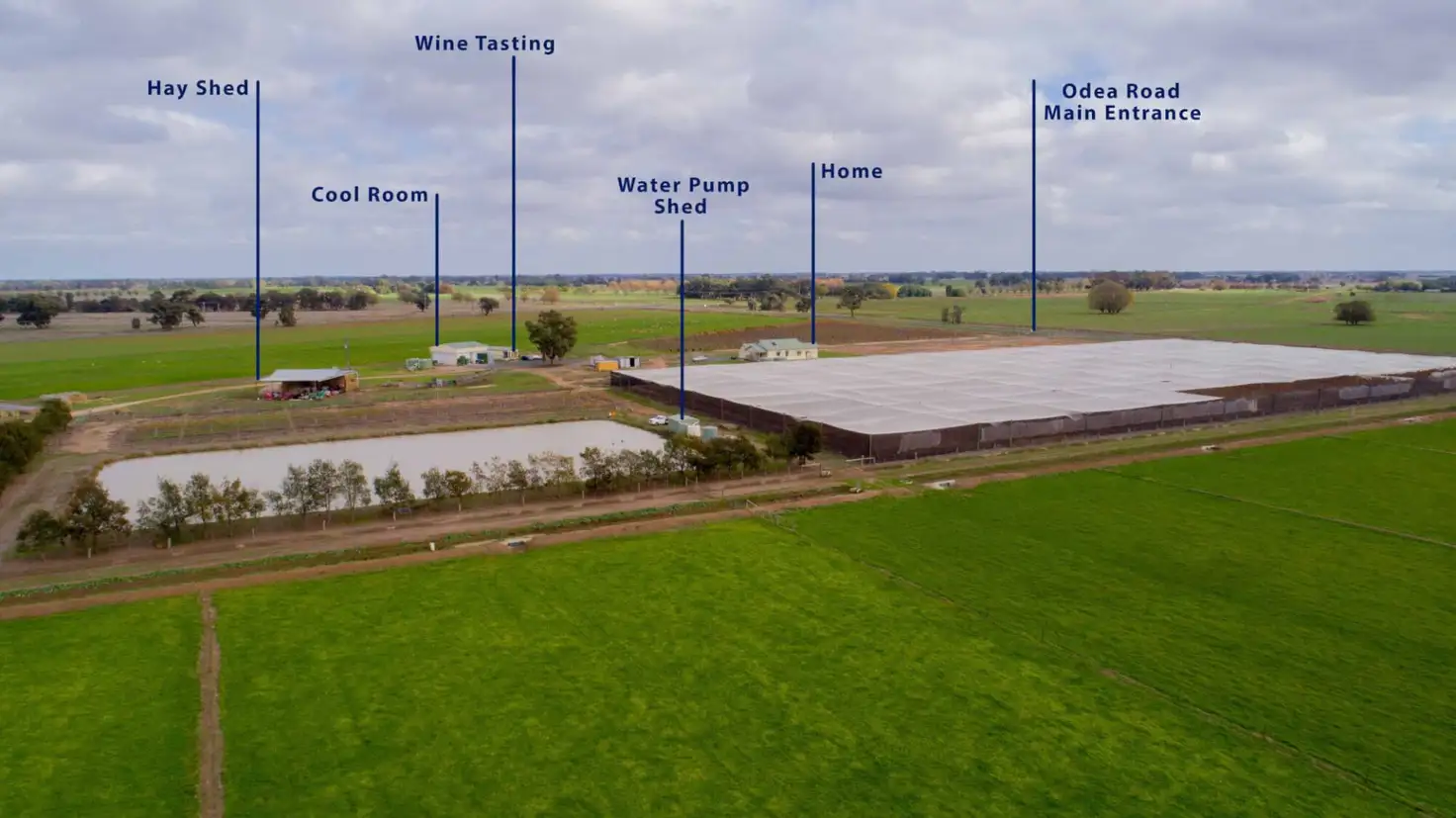 Main view of Homely rural property listing, 1557 O'Dea Road, Koyuga VIC 3622