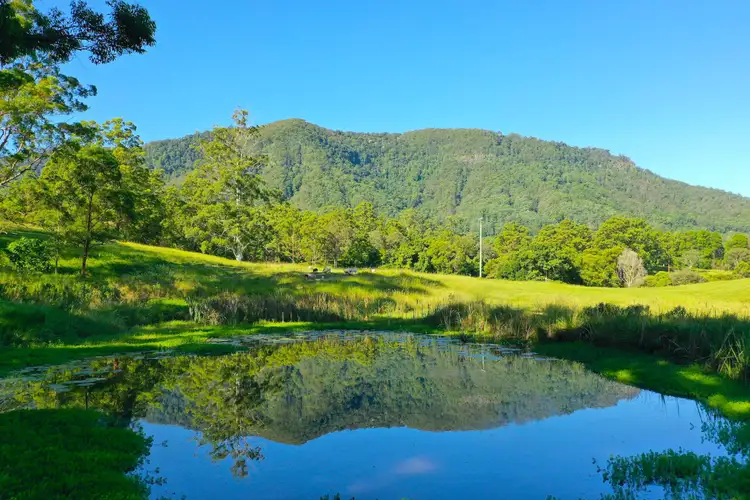 Second view of Homely rural property listing, 574 Blue Knob Road, Nimbin NSW 2480