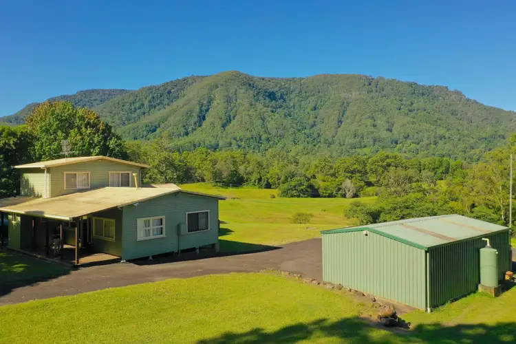 Third view of Homely rural property listing, 574 Blue Knob Road, Nimbin NSW 2480
