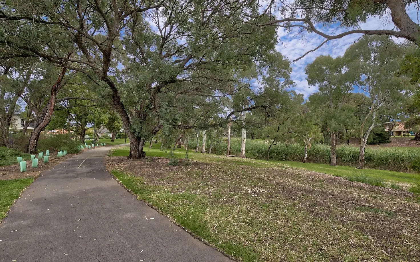 Main view of Homely house listing, 16 Diosma Crescent, Lockleys SA 5032