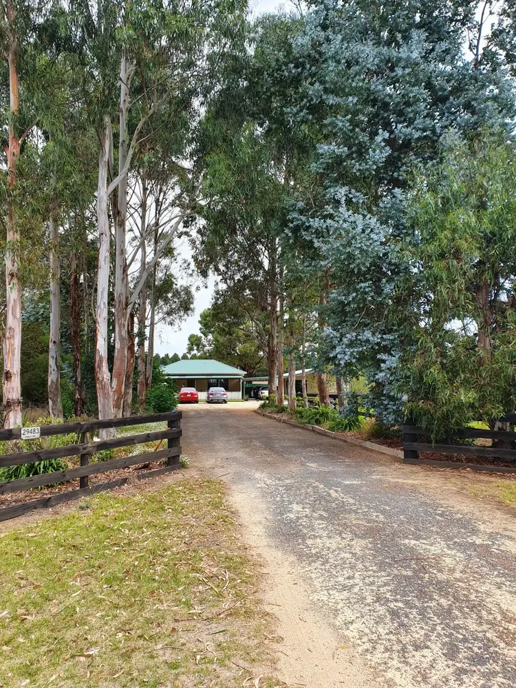 Second view of Homely rural property listing, 29483 Princes Highway, Glenburnie SA 5291