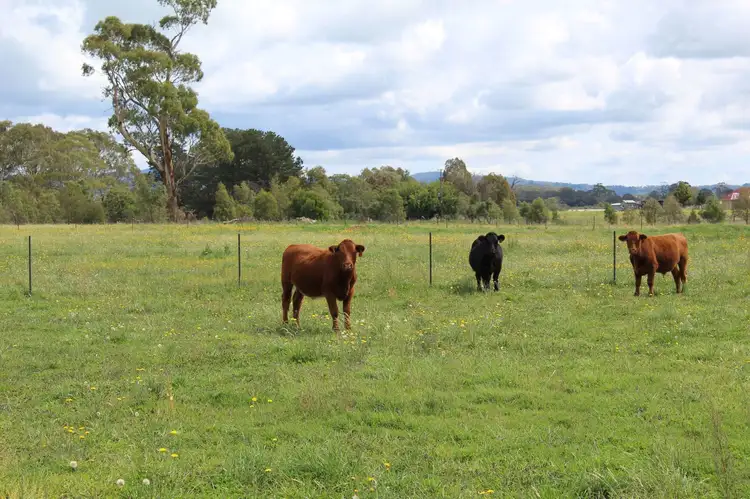 Fifth view of Homely land listing, 44 Strachan Road, Spring Hill NSW 2800