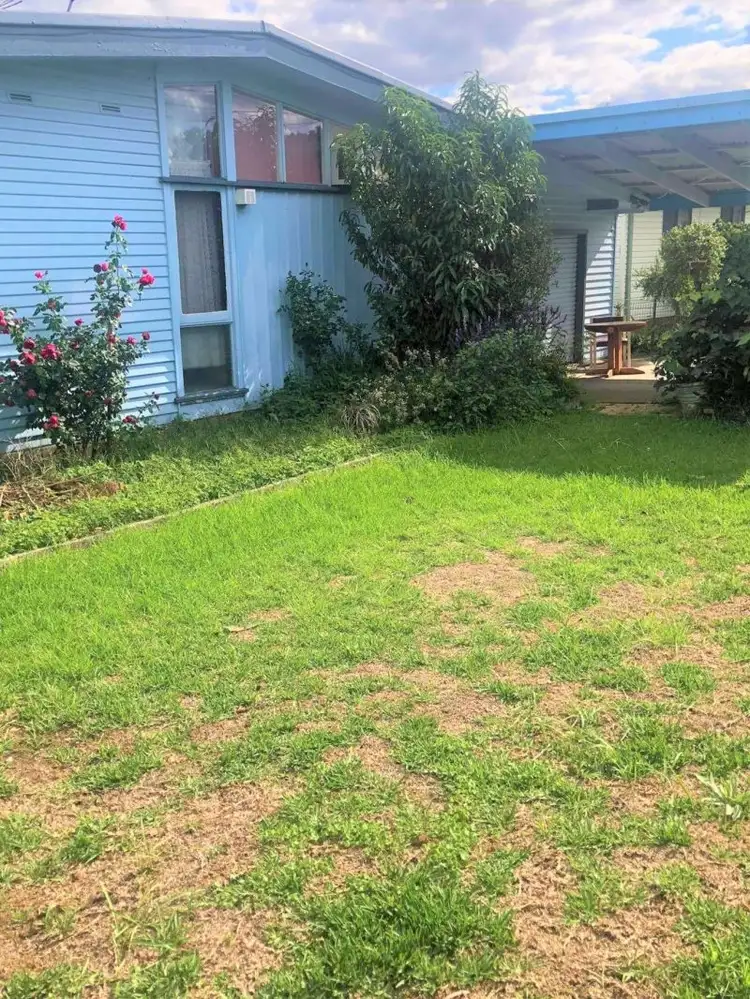 3 Porter Place, Blackett NSW 2770