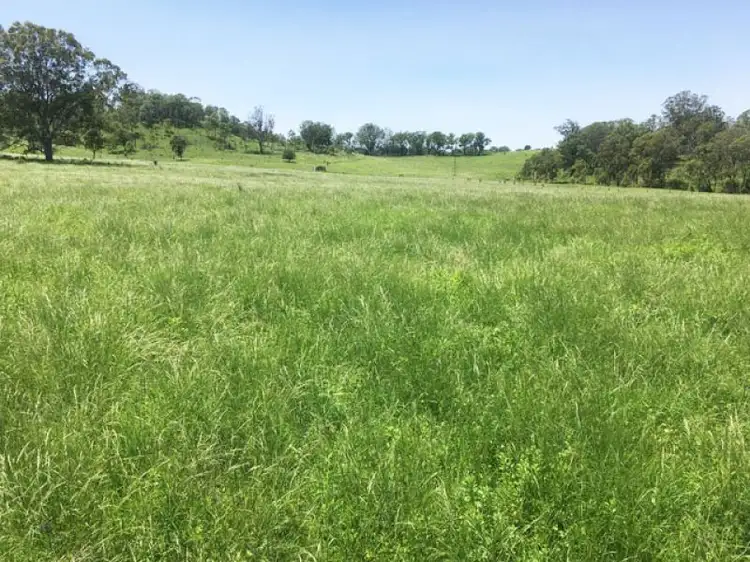 Second view of Homely rural property listing, Lot 2 Bald Hills Rd, Crows Nest QLD 4355