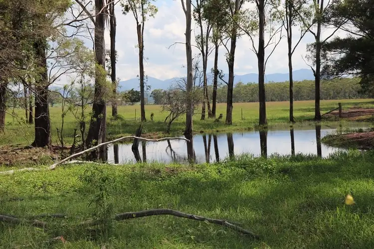 Second view of Homely rural property listing, 119 Dunnetts Road, Bracewell QLD 4695