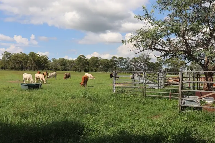 Fifth view of Homely rural property listing, 119 Dunnetts Road, Bracewell QLD 4695