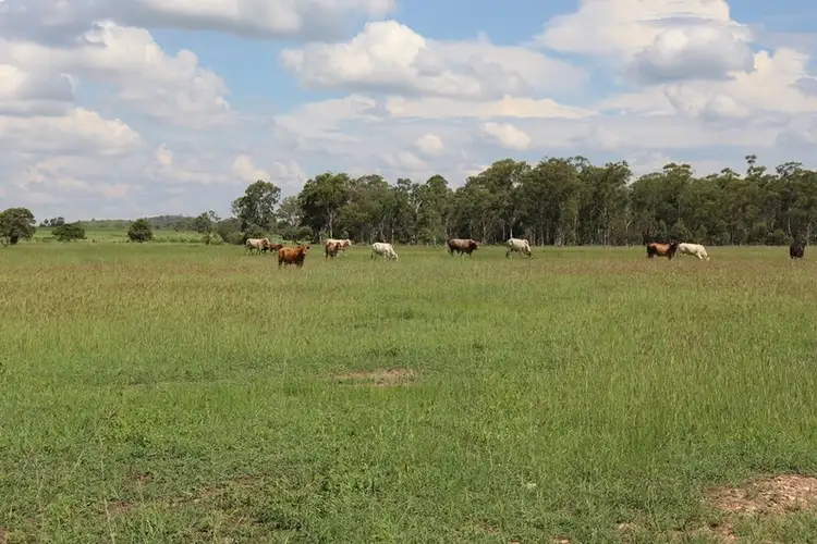 Sixth view of Homely rural property listing, 119 Dunnetts Road, Bracewell QLD 4695