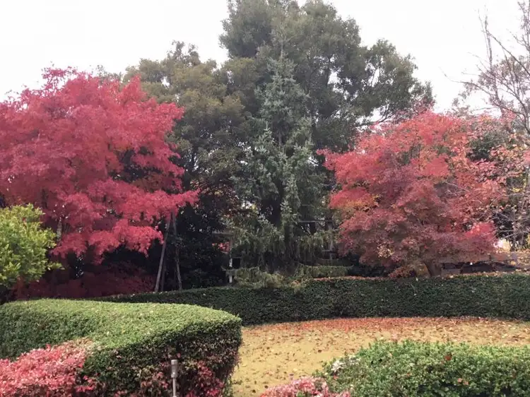 Fourth view of Homely house listing, 3 Brookes Crescent, Macedon VIC 3440