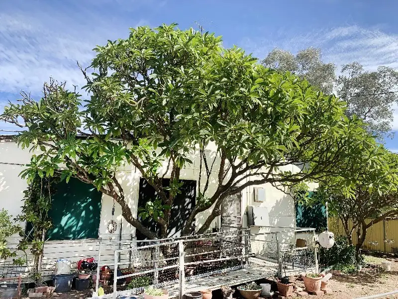 Main view of Homely house listing, 4 Short St, Bourke NSW 2840