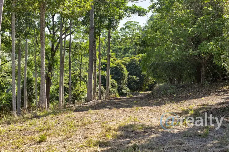 Second view of Homely rural property listing, 310 Richards Road, Newee Creek NSW 2447