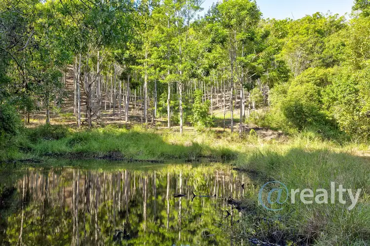 Third view of Homely rural property listing, 310 Richards Road, Newee Creek NSW 2447