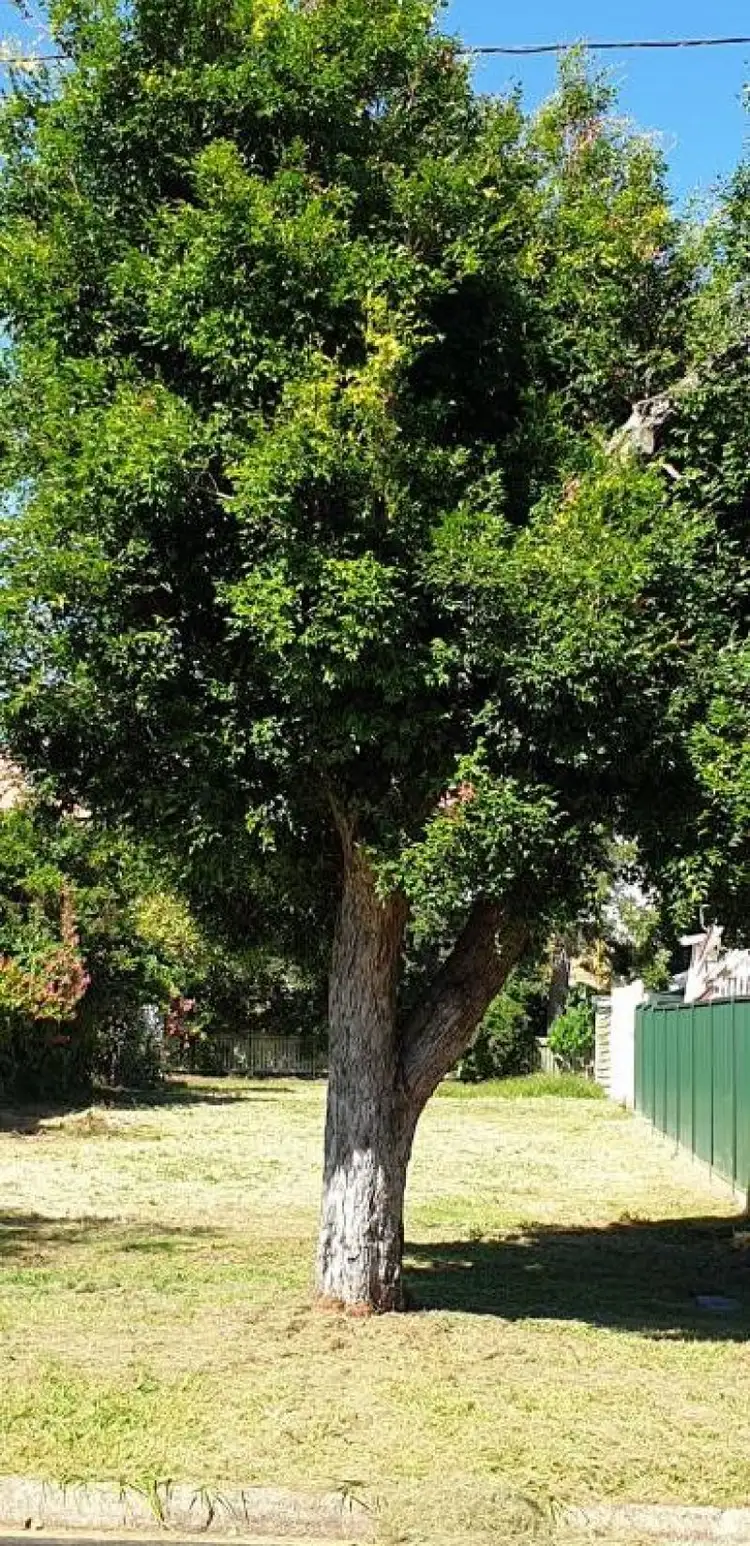 Fourth view of Homely land listing, 25 Wyllie Street, Redcliffe QLD 4020