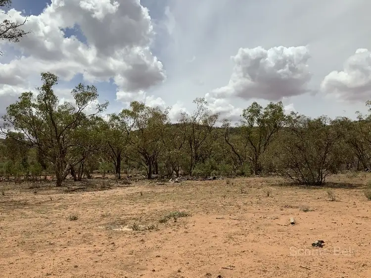 Sixth view of Homely rural property listing, . Illewong, Euabalong NSW 2877