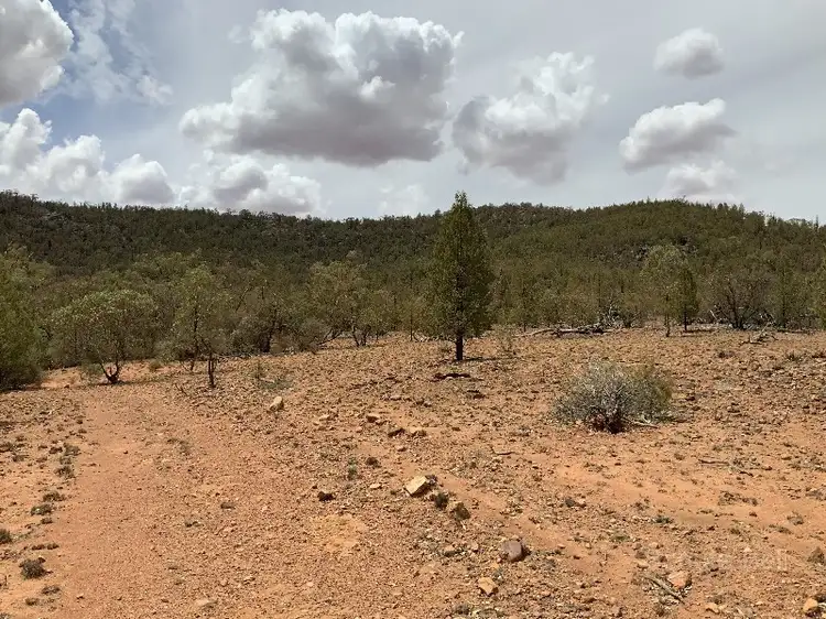 Seventh view of Homely rural property listing, . Illewong, Euabalong NSW 2877