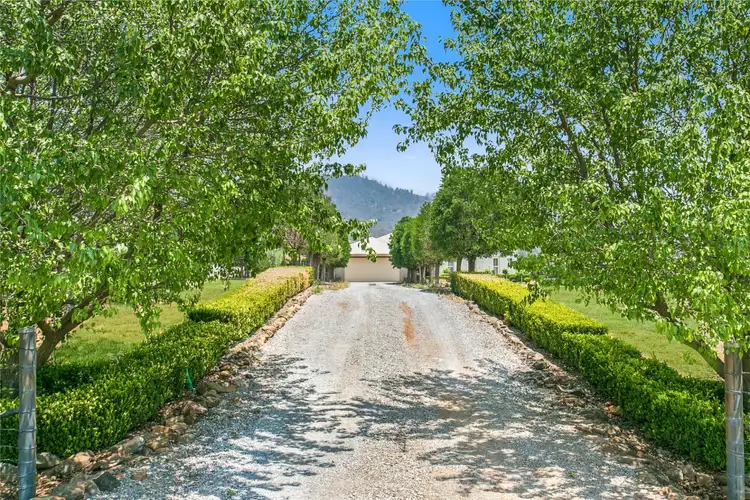 Second view of Homely house listing, 24 Wyndham Close, Daruka NSW 2340