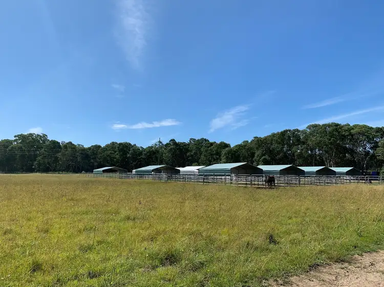 15 fleming street, Nulkaba NSW 2325