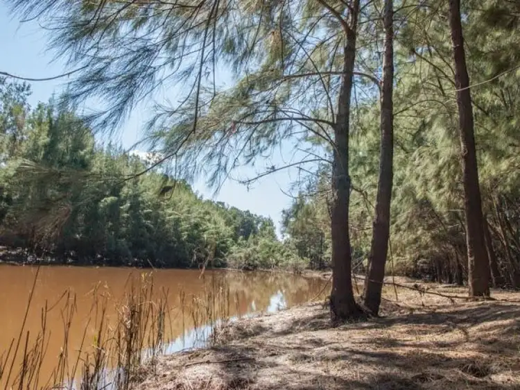 Second view of Homely rural property listing, 45-47 Wollombi Street, Broke NSW 2330