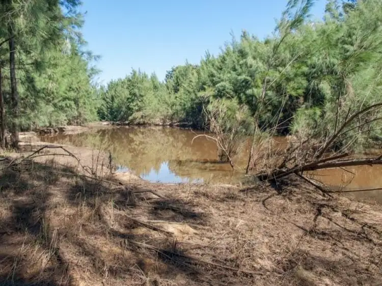Fourth view of Homely rural property listing, 45-47 Wollombi Street, Broke NSW 2330