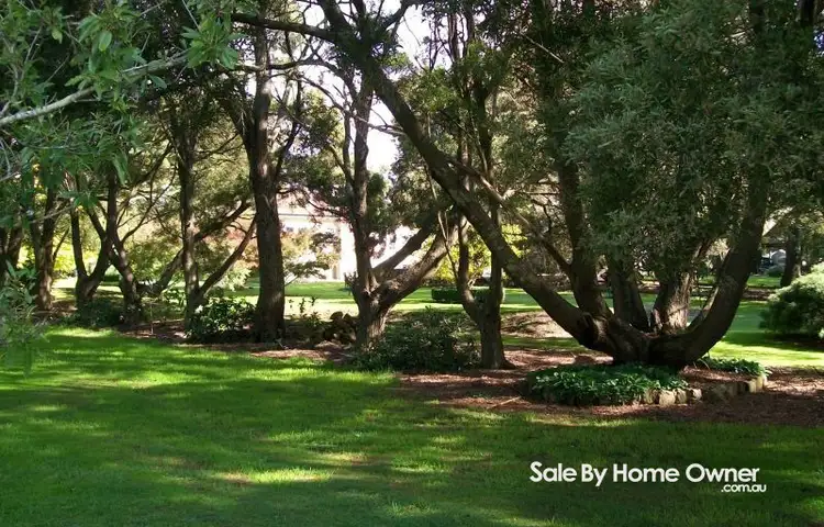 Main view of Homely house listing, 696 Sheffield Road, Acacia Hills TAS 7306