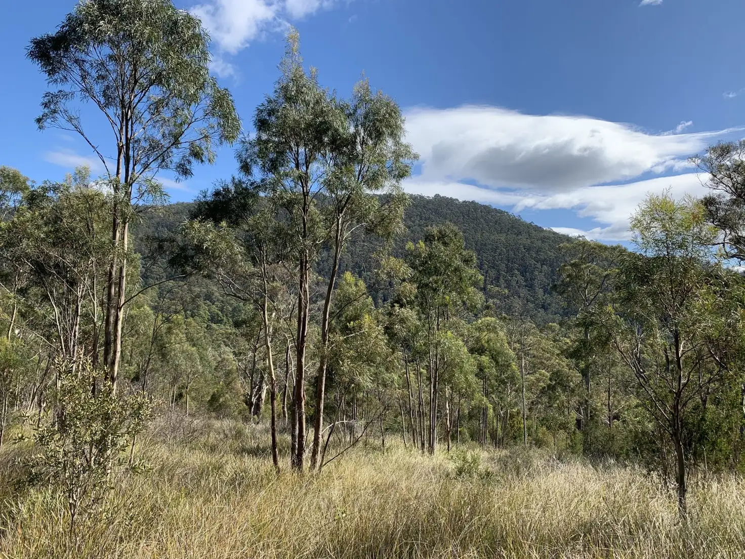 Main view of Homely rural property listing, 1336 Nicholls Rivulet Road, Nicholls Rivulet TAS 7112