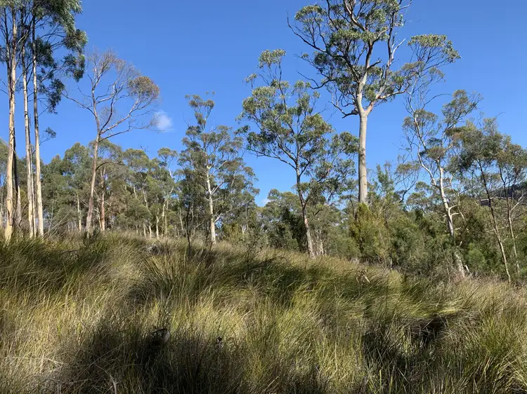 Third view of Homely rural property listing, 1336 Nicholls Rivulet Road, Nicholls Rivulet TAS 7112