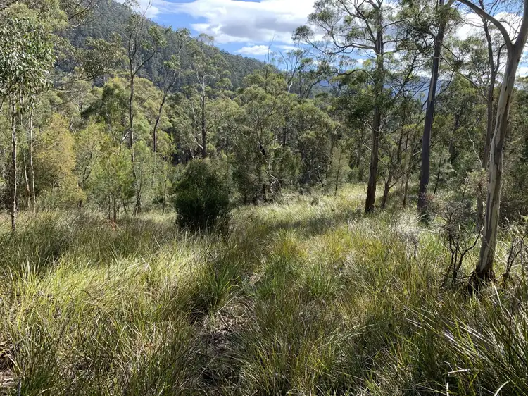 Seventh view of Homely rural property listing, 1336 Nicholls Rivulet Road, Nicholls Rivulet TAS 7112