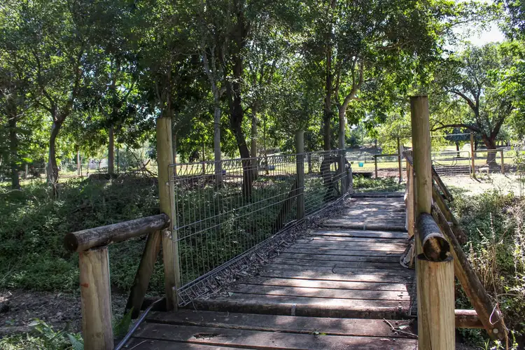 Fifth view of Homely rural property listing, 11 Muntalunga Drive, Nome QLD 4816