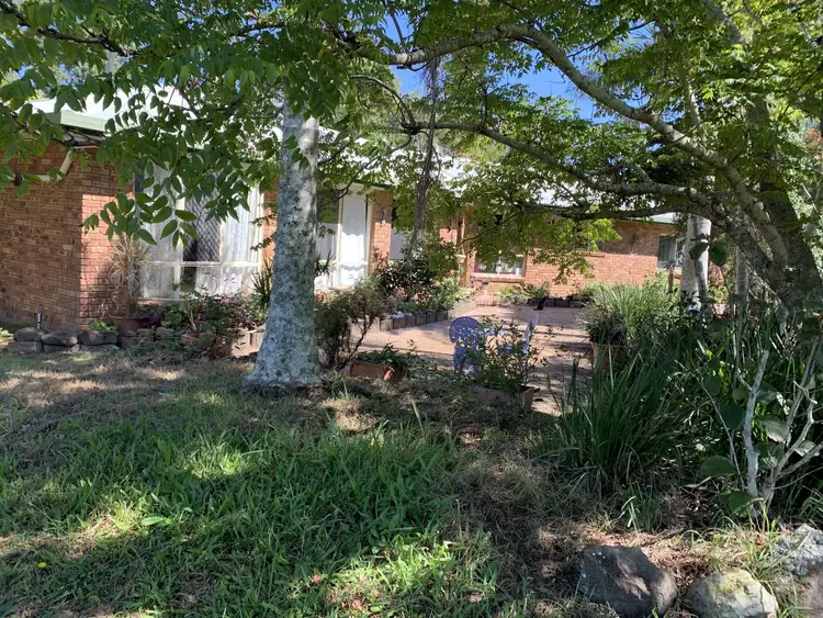 Fourth view of Homely rural property listing, 10 Forest Grove, Fairy Hill NSW 2470