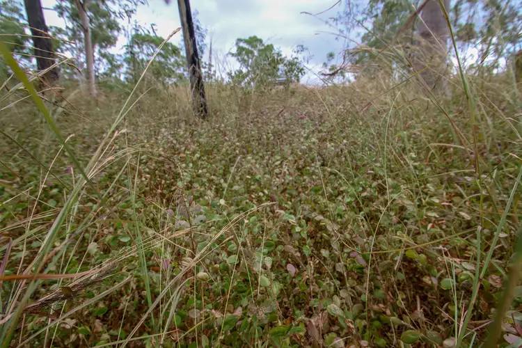 Second view of Homely rural property listing, 670 Norton Road, Boyne Valley QLD 4680